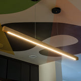 Folie Pendant Light