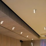 Anneal Downlight