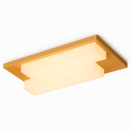 Unkel Ceiling Light