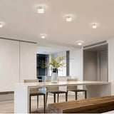 Tapio Downlight