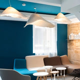 Jib Pendant Light