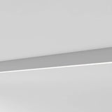 Hermanville Track Light