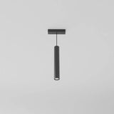 Hermanville Track Light