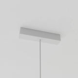 Hermanville Track Light