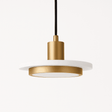 Atrium Pendant Light
