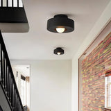Blaubeuren Ceiling Light