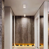 Moonstone Downlight