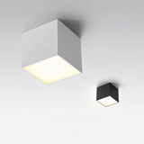 Moonstone Downlight