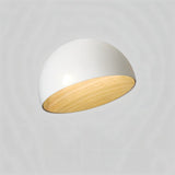 Tack Ceiling Light