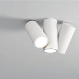 Virga Ceiling Light