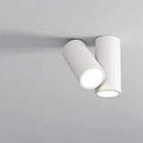 Virga Ceiling Light