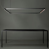 Wake Pendant Light