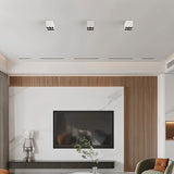 Corymb Downlight