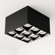 Corymb Downlight