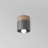 Exposure Pendant Light