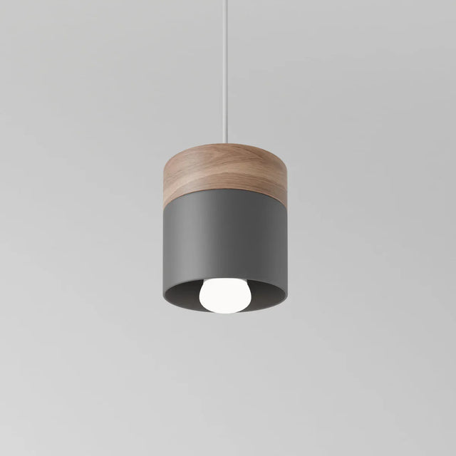 Exposure Pendant Light