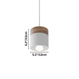 Exposure Pendant Light