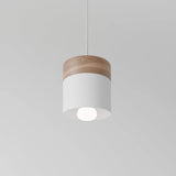 Exposure Pendant Light