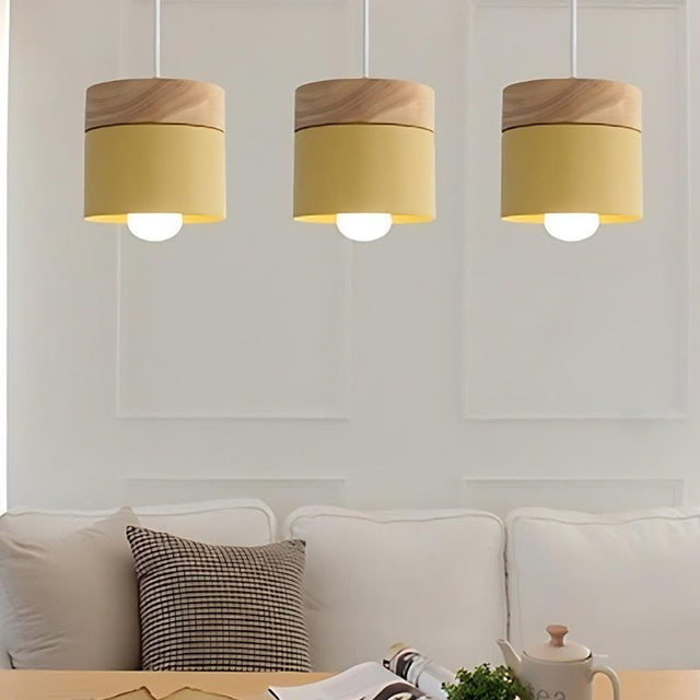 Exposure Pendant Light