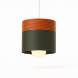 Exposure Pendant Light