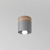 Exposure Pendant Light