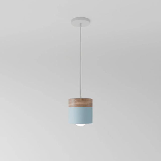 Exposure Pendant Light