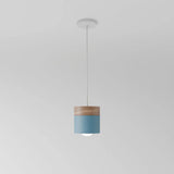 Exposure Pendant Light