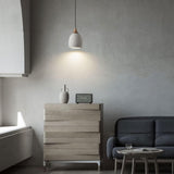 Hatzenport Pendant Light
