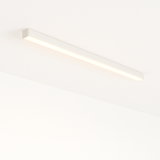 Pier Ceiling Light