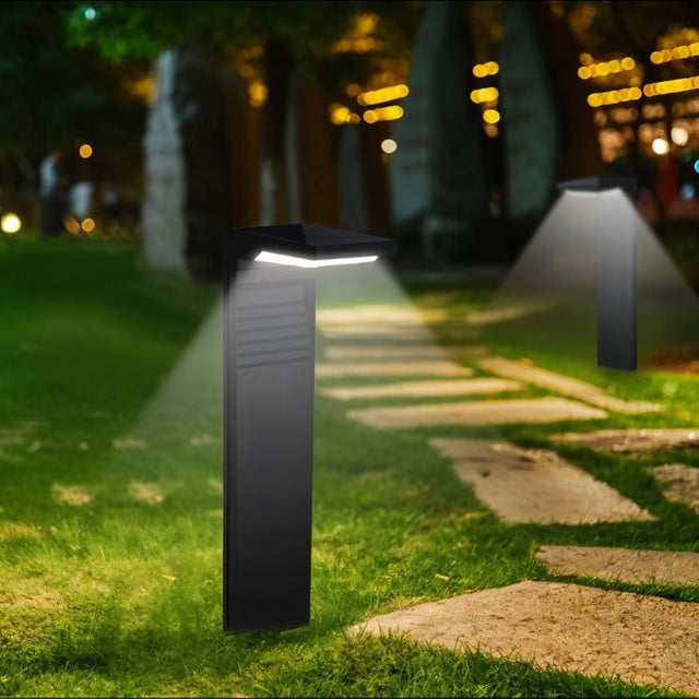 Silica Garden Lamp