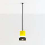 Focus Pendant Light