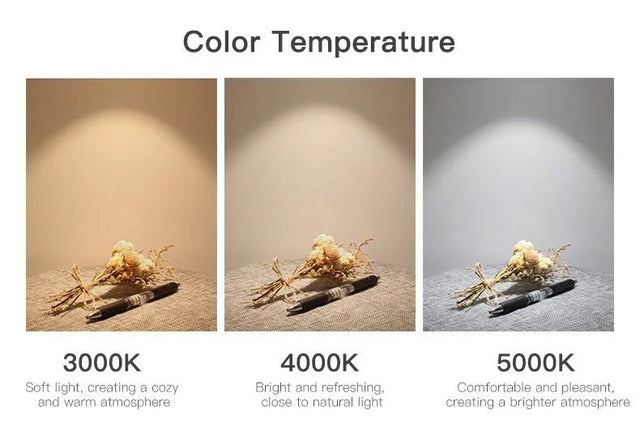 Squall Downlight