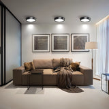 Jasper Downlight