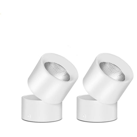 Lars Downlight