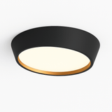 Stern Ceiling Light
