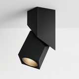 Volutus Downlight