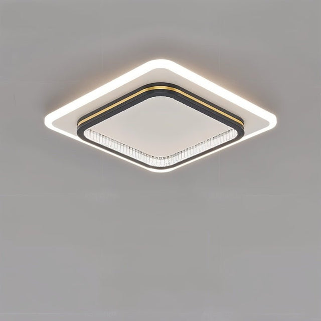 Premise Ceiling Light