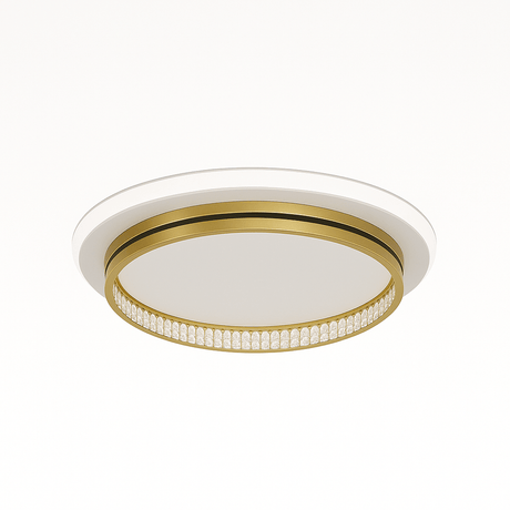Premise Ceiling Light