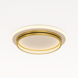 Premise Ceiling Light