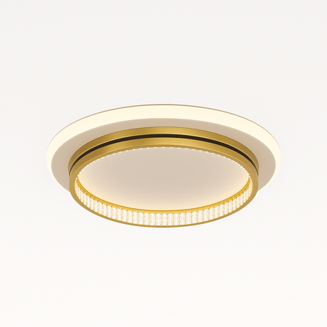 Premise Ceiling Light