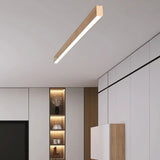 Treis Ceiling Light