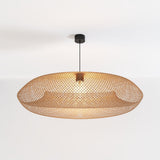 Xylem Pendant Light