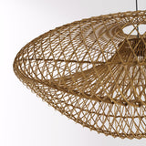 Xylem Pendant Light