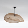 Xylem Pendant Light