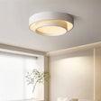 Alpen Ceiling Light