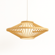 Stamen Pendant Light