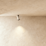 Caine Downlight