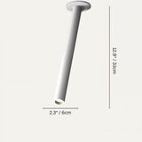 Sheathing Ceiling Light