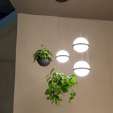 Givskud Pendant Light