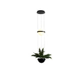 Givskud Pendant Light